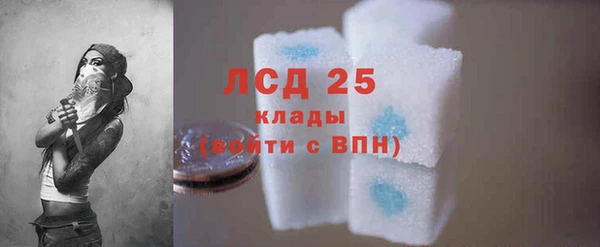 сатива Алзамай
