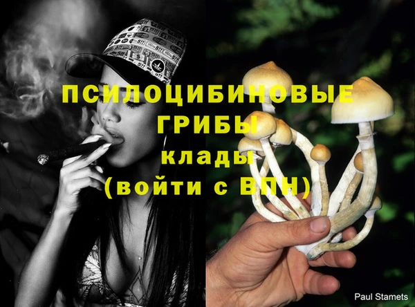 шишки Алексин