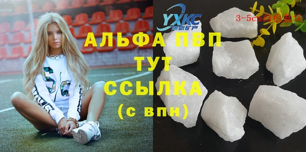 шишки Алексин